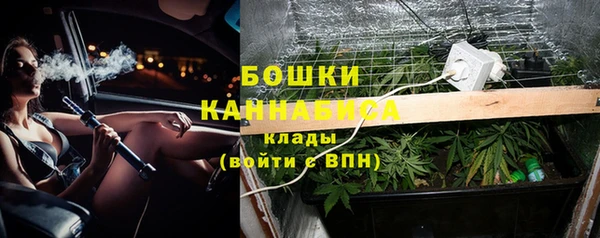 2c-b Белокуриха